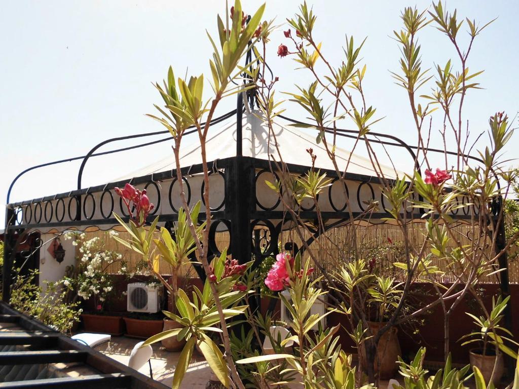Riad Bibtia Марракеш Экстерьер фото